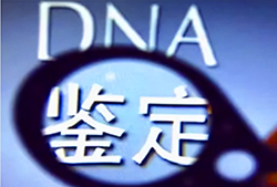 衢州父亲与胎儿如何做DNA亲子鉴定，衢州无创产前亲子鉴定大概收费