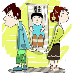 衢州想办理隐私DNA亲子鉴定要如何办理，衢州想办理隐私亲子鉴定流程是什么