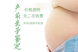 衢州怀孕如何办理DNA鉴定，衢州怀孕DNA鉴定办理方法