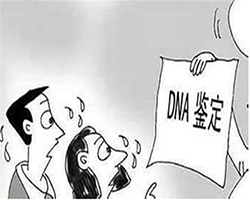 衢州产前亲子鉴定的流程，衢州产前亲子鉴定价钱